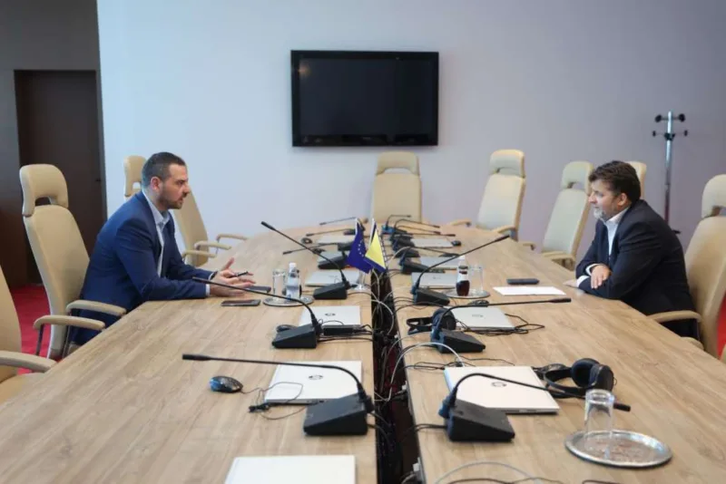 Magazinovic i katica
