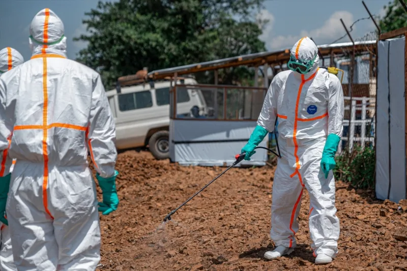 Ebola anadolija