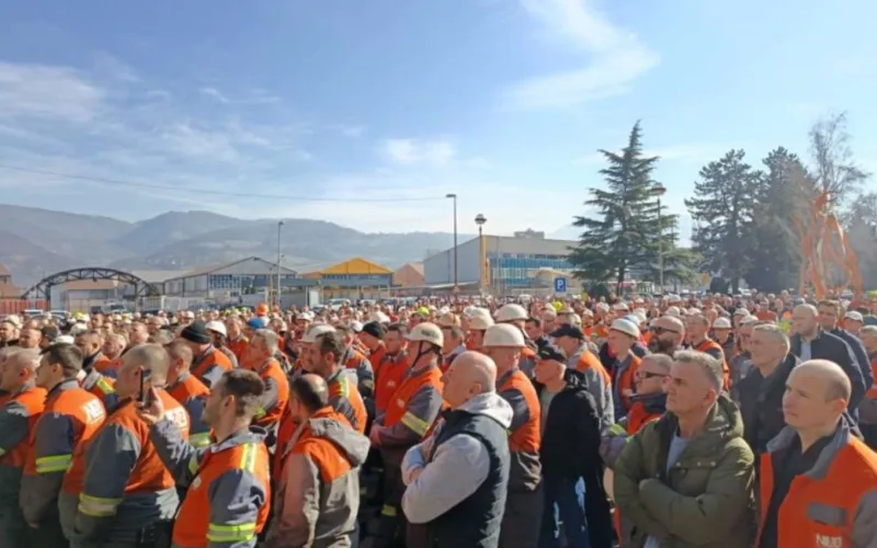 Zeljezara zenica fena