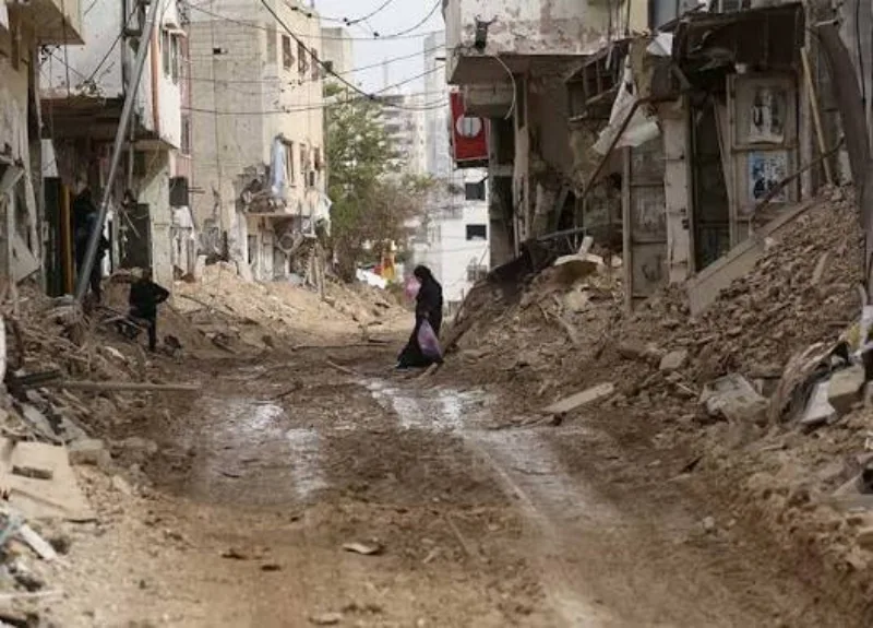 Palestina x