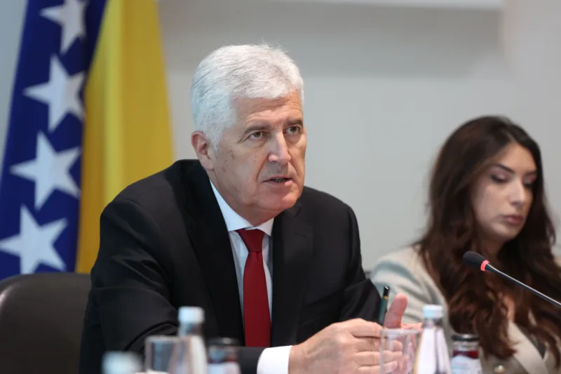Covic kafa 2026 d