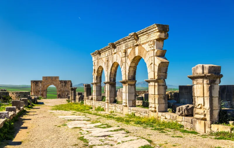 Volubilis freepik