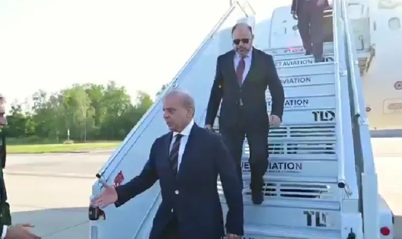 Shehbaz svicarska