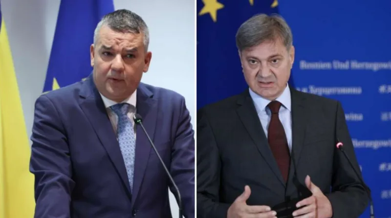 Bunoza zvizdic fena