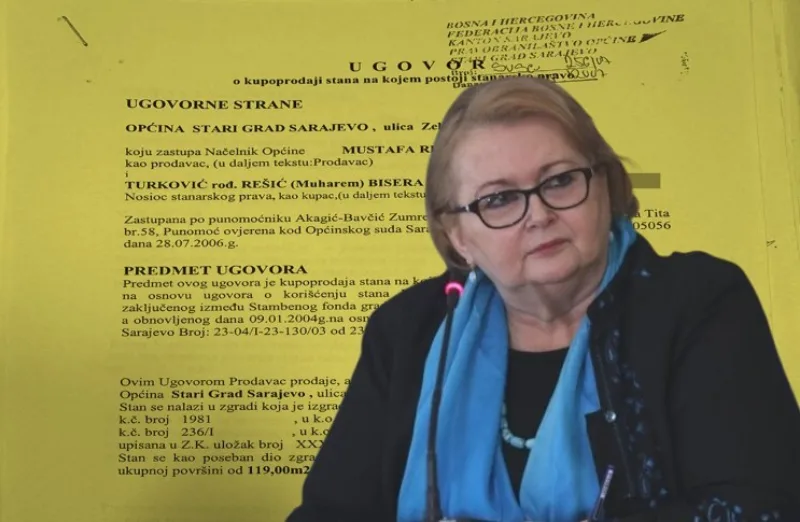 Bisera turkovic stan