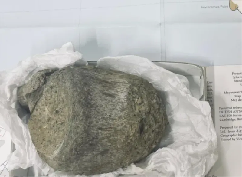 Kost dinosaurusa