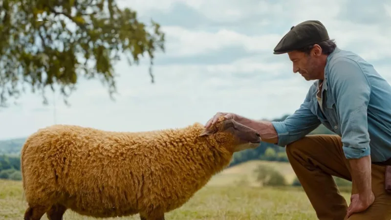 The Sheep Detectives