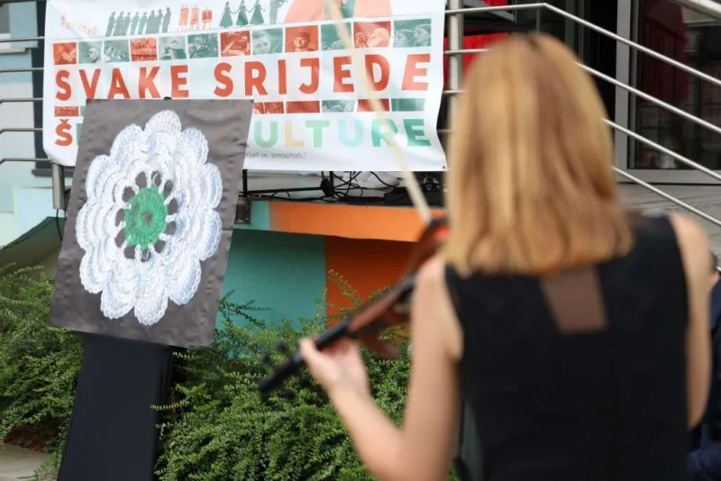 Setnica kulture fena