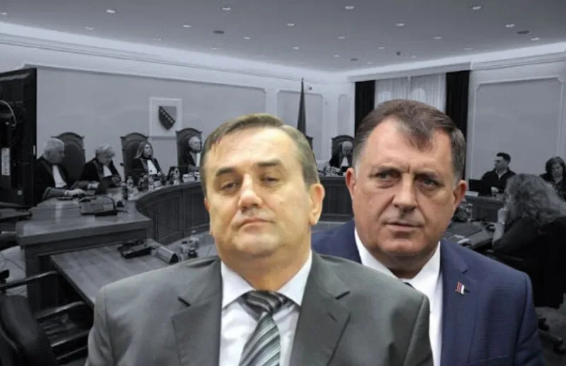Radisic ustavni