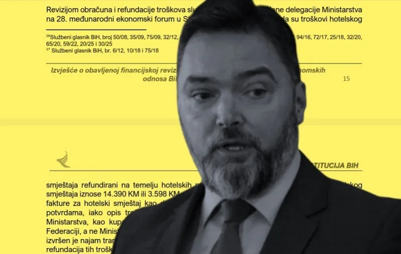 Kosarac revizija
