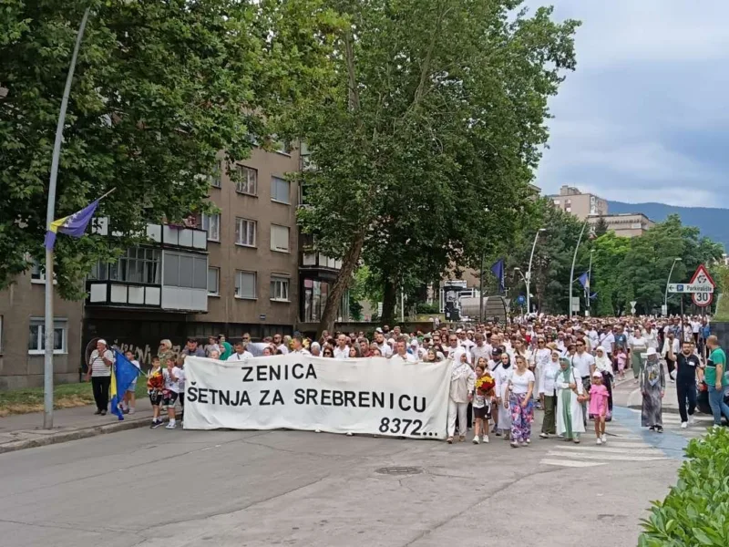 Zenica srebrenica fena