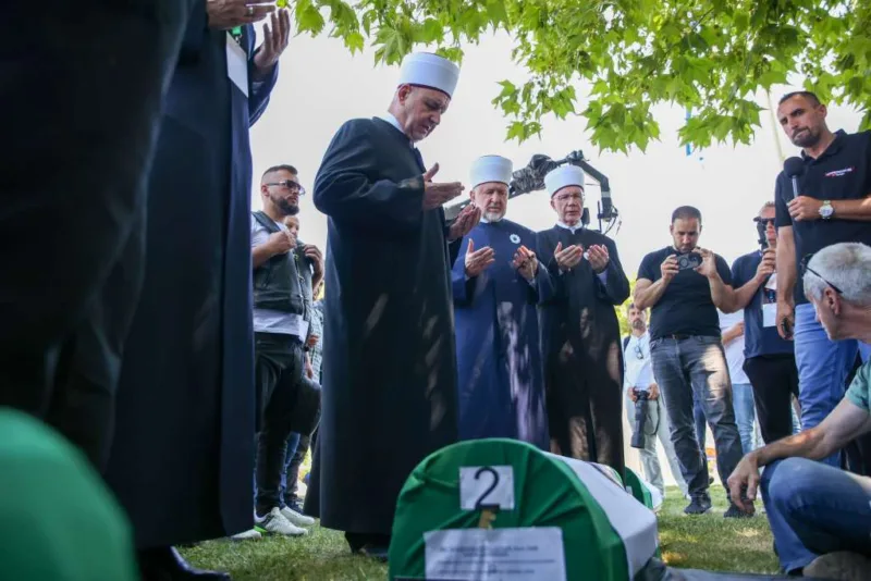 Reis srebrenica fena