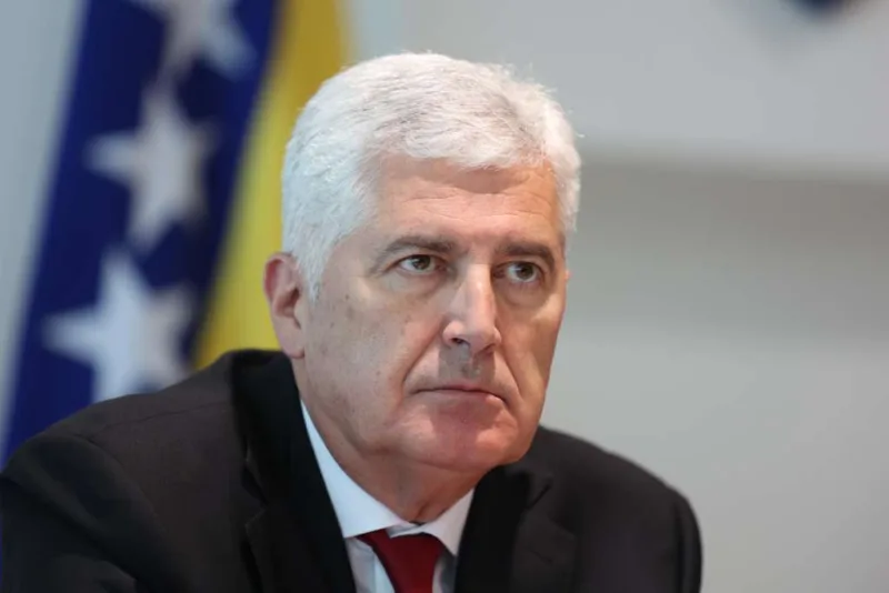 Covic fena