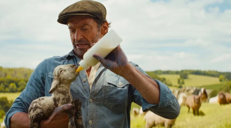 The Sheep Detectives