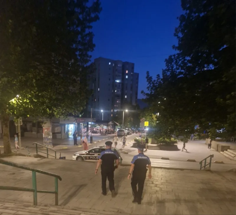 Policija alipasino polje