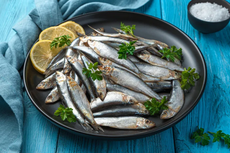 Sardine freepik