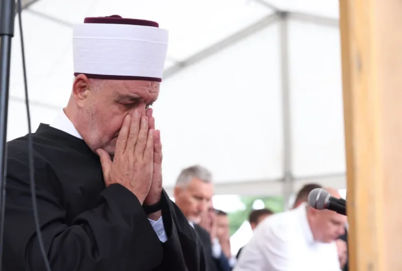 Reis kamicani