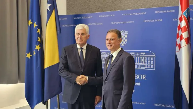 Covic jandrokovic fena