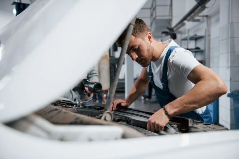 Servis freepik