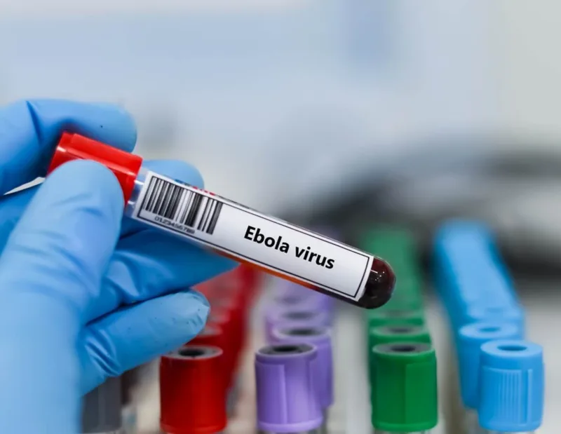 Ebola