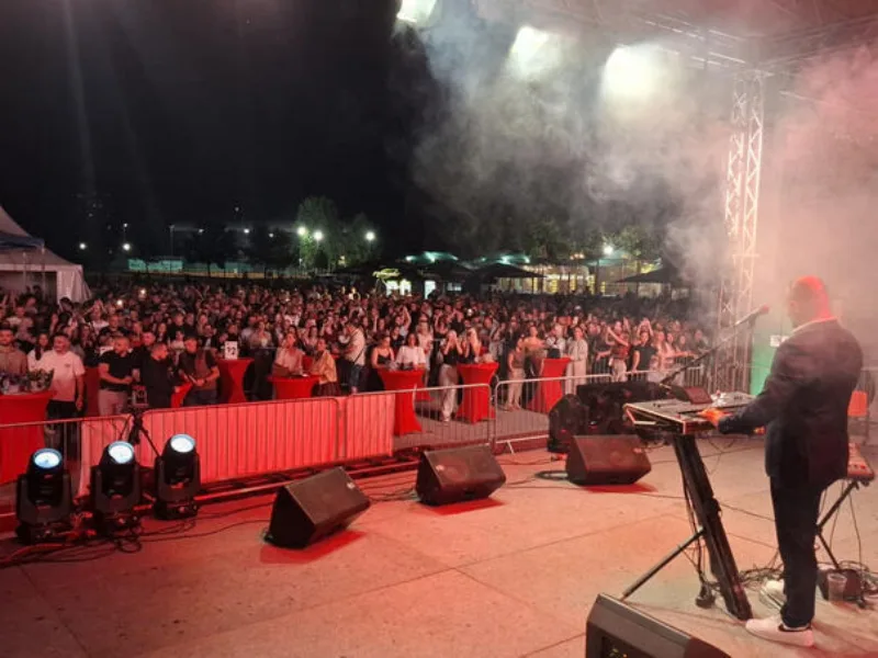 Zenica fest