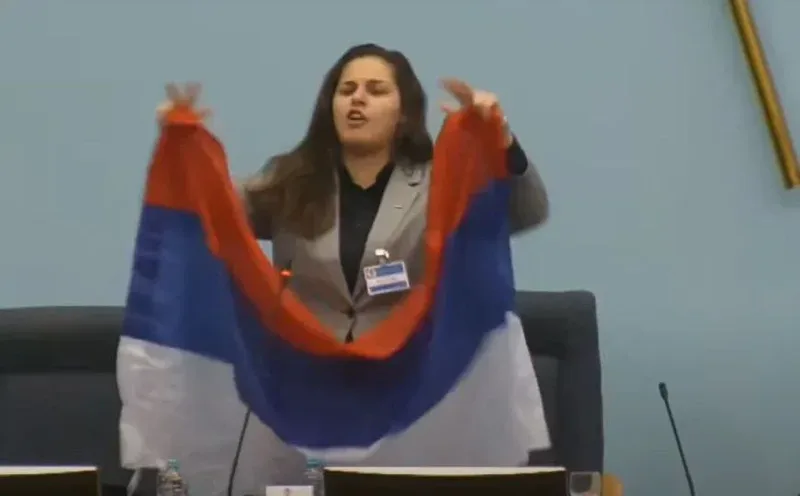 Anja ljubojevic gerila februar2025