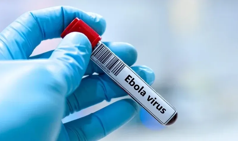 Ebola 2