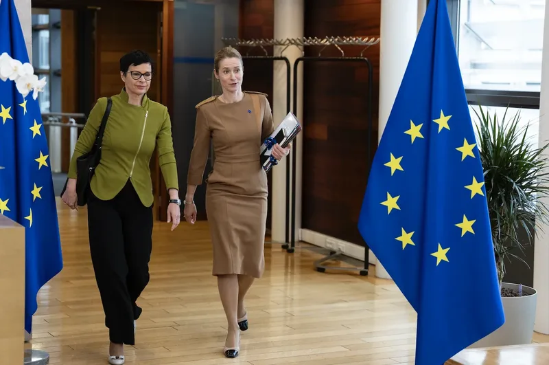 Kos kallas