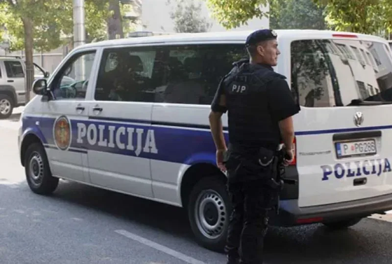 Policija crne gore