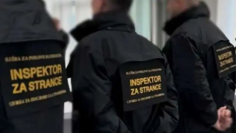 Inspektori