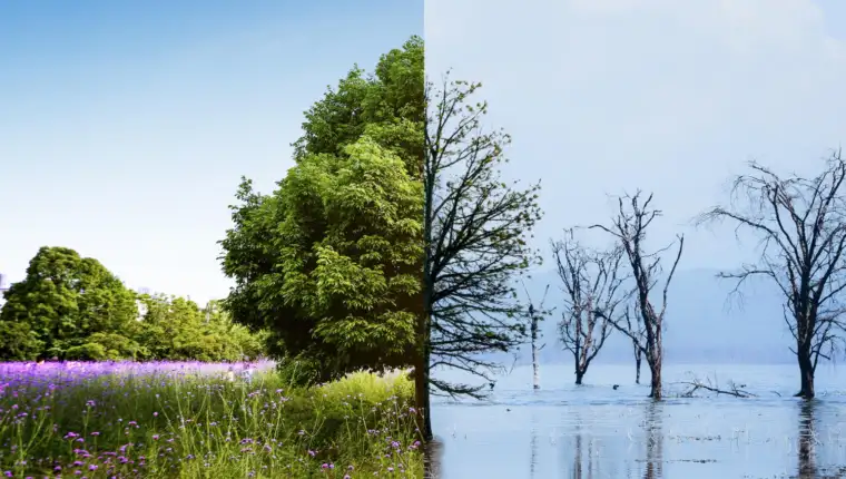 Klimatske promjene freepik