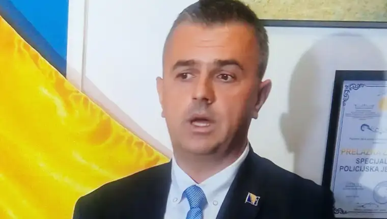 Hadziomerovic2