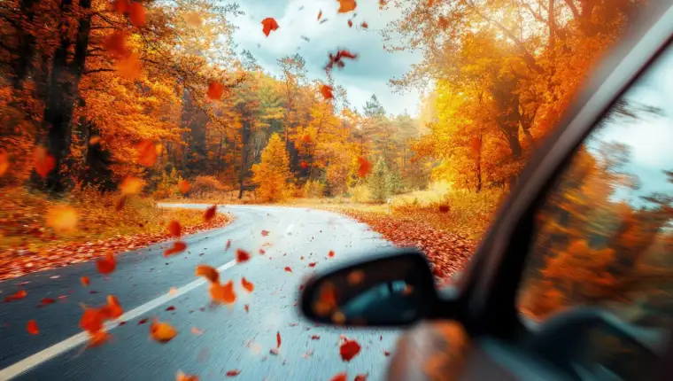 jesen auto freepik