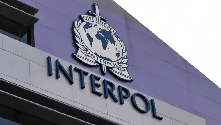 Interpol bih