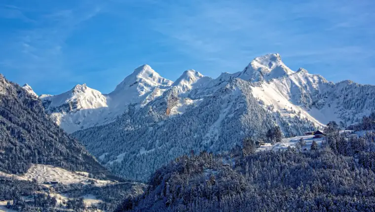 Alpe freepik