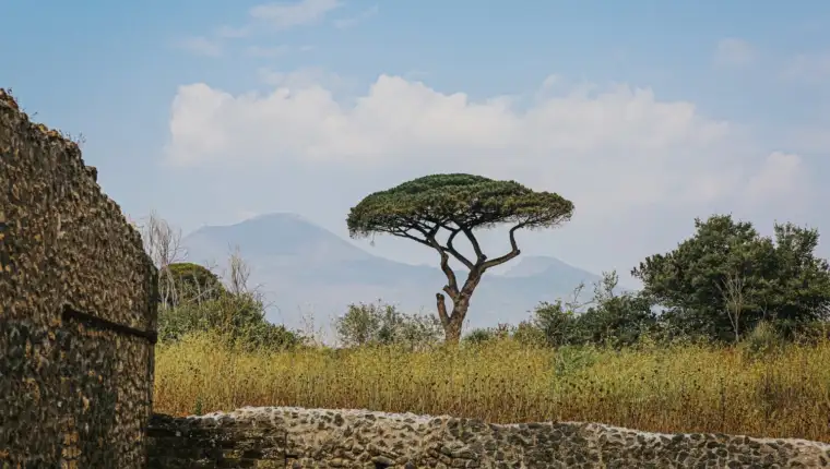 Tanzanija freepik