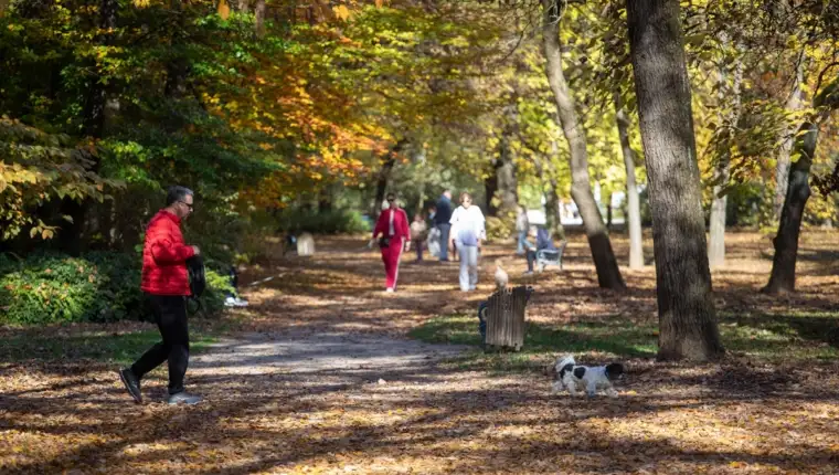 AA 20251102 39593937 39593926 HRVATSKA JESEN U ZAGREBACKOM PARKU MAKSIMIR