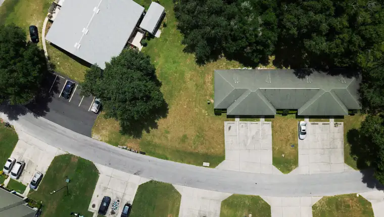 The Perfect Neighbor