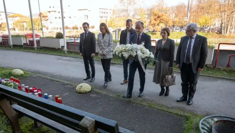 Delegacija eu tuzla
