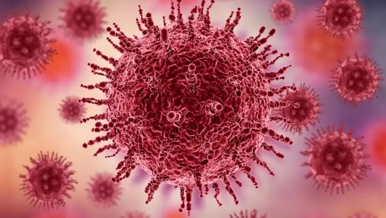 Virus