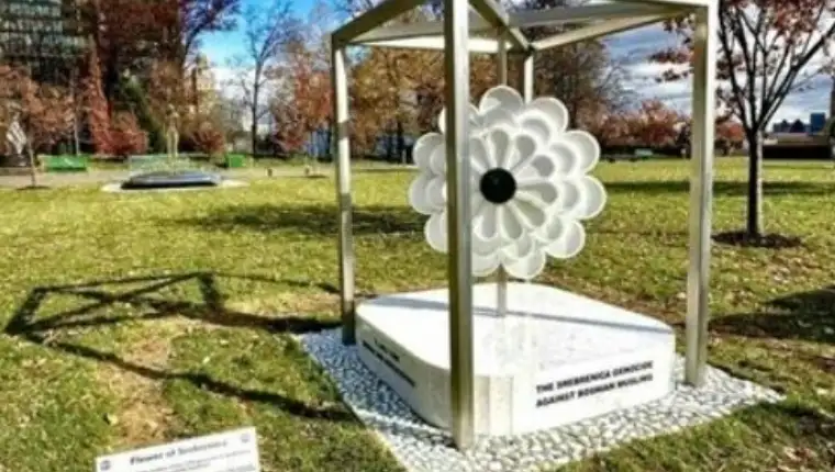 Cvijet srebrenice