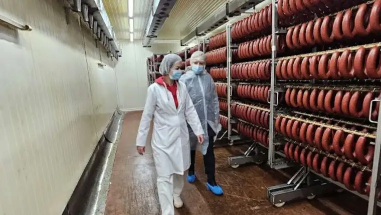 Inspekcija