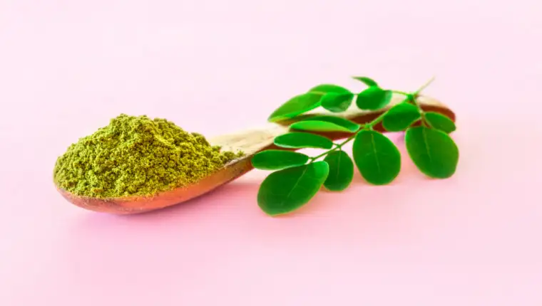 moringa freepik