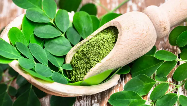Moringa freepik