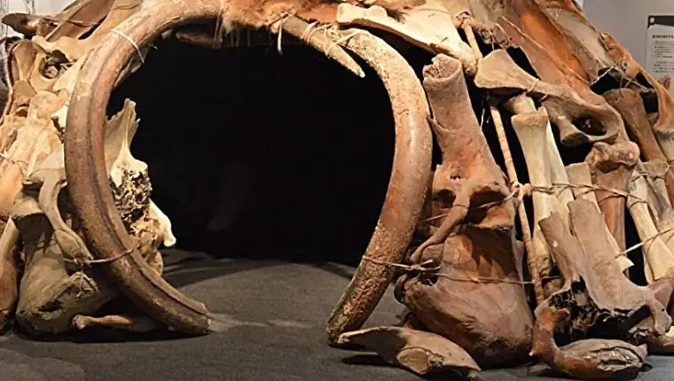 Mamut skloniste