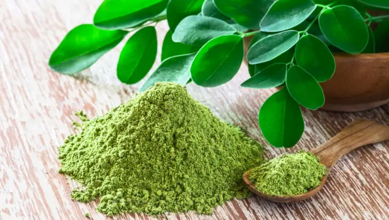 Moringa freepik