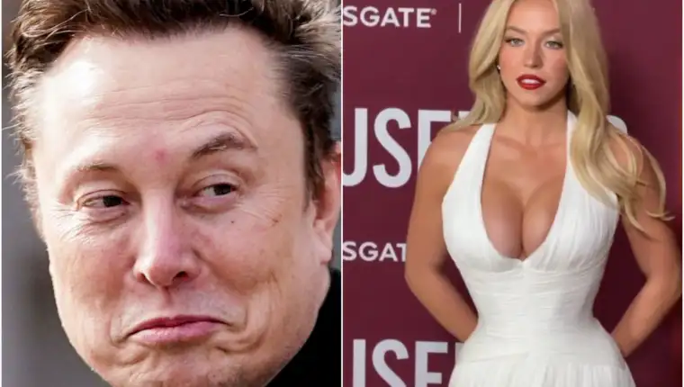 Musk sweeney