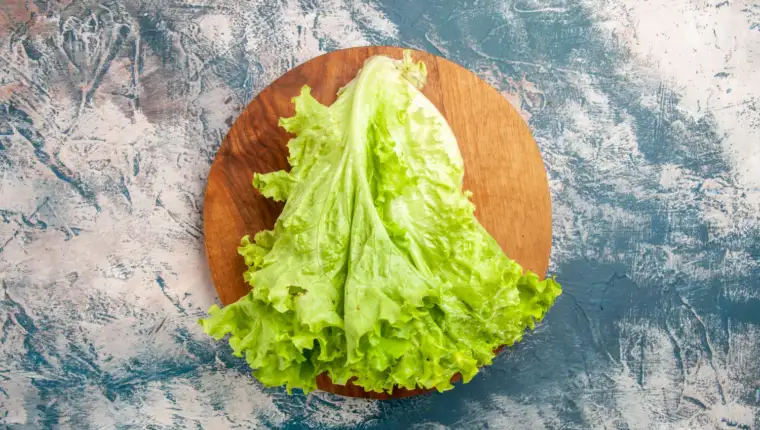 zelena salata freepik