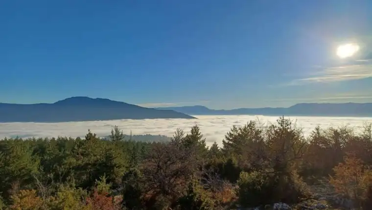 Vrijeme bih