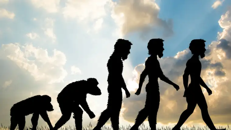 Evolucija freepik